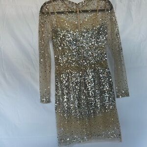 Basix Black Label Glamorous Silver Sequin Long Sleeve Dress